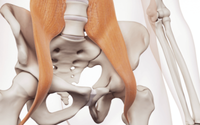 Hip Flexor Strain: Causes, Symptoms, and Treatment