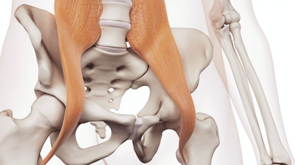 Hip Flexor Strain: Causes, Symptoms, and Treatment